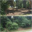 Photo #18: Clean Acres Brush Clearing, LLC