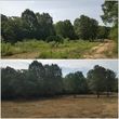 Photo #20: Clean Acres Brush Clearing, LLC