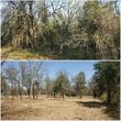 Photo #22: Clean Acres Brush Clearing, LLC