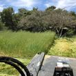 Photo #2: Field Mowing, Weed Removal Brush Clearing
