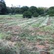 Photo #5: Field Mowing, Weed Removal Brush Clearing