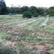 Photo #5: Field Mowing, Weed Removal Brush Clearing