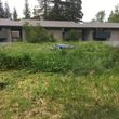 Photo #3: High Weed Mowing