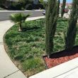 Photo #8: AFFORDABLE Landscaping Service