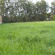 Photo #4: Tractor Work  Lot Clearing, Discing/ Mowing/ Rototilling. Insured