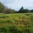 Photo #6: Tractor Work  Lot Clearing, Discing/ Mowing/ Rototilling. Insured