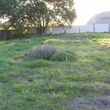 Photo #14: Tractor Work  Lot Clearing, Discing/ Mowing/ Rototilling. Insured