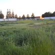 Photo #18: Tractor Work  Lot Clearing, Discing/ Mowing/ Rototilling. Insured