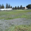 Photo #19: Tractor Work  Lot Clearing, Discing/ Mowing/ Rototilling. Insured