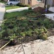 Photo #13: PROFESSIONAL LANDSCAPING,GARDENER SERVICES& LAWN CARE