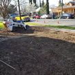 Photo #6: Yard demolition and new grass and new sprinkler sistem or remove grass