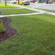 Photo #7: Yard demolition and new grass and new sprinkler sistem or remove grass