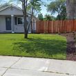 Photo #9: Yard demolition and new grass and new sprinkler sistem or remove grass