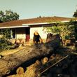 Photo #12: Sacramento professional  Tree services