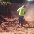 Photo #3: Tree trimming & Tree removal brush chipping & Landscaping Bobcat work!
