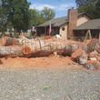 Photo #9: Tree Services and Stump Removal