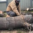 Photo #13: Tree Services and Stump Removal