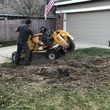 Photo #16: Tree Services and Stump Removal