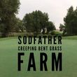 Photo #1: SODFATHER - Creeping Bent Grass Sod Farm