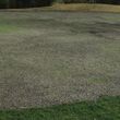 Photo #6: SODFATHER - Creeping Bent Grass Sod Farm