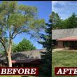 Photo #5: TREE SERVICES/Cheapest In Sac