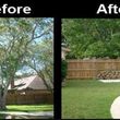 Photo #7: TREE SERVICES/Cheapest In Sac