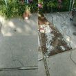 Photo #4: Yard Clean Up**Lawn Service**Legacy Yards
