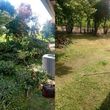 Photo #5: Yard Clean Up**Lawn Service**Legacy Yards