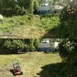 Photo #6: Yard Clean Up**Lawn Service**Legacy Yards