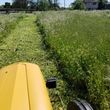 Photo #1: disking, discing, weed abatement notices, mowing, fire breaks