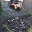 Photo #1: Carrillo's Stump Grinding**sameday service available