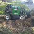 Photo #6: Carrillo's Stump Grinding**sameday service available
