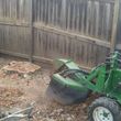 Photo #12: Carrillo's Stump Grinding**sameday service available