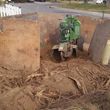 Photo #17: Carrillo's Stump Grinding**sameday service available