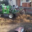 Photo #21: Carrillo's Stump Grinding**sameday service available