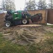 Photo #22: Carrillo's Stump Grinding**sameday service available