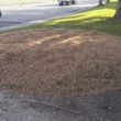 Photo #23: Carrillo's Stump Grinding**sameday service available