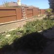 Photo #2: Tree trim/ removal, Lawn service
