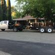 Photo #1: HAULING WITH A BOBCAT *** DIRT LAWN CONCRETE REMOVAL ***