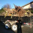 Photo #16: HAULING WITH A BOBCAT *** DIRT LAWN CONCRETE REMOVAL ***