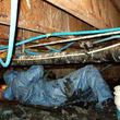 Photo #5: Water Damage Drying, Mold Removal, Crawlspace, Sewage, Licensed