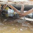 Photo #6: Water Damage Drying, Mold Removal, Crawlspace, Sewage, Licensed