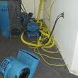 Photo #10: Water Damage Drying, Mold Removal, Crawlspace, Sewage, Licensed