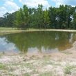 Photo #4: **PONDS, LAKES, HEAVY LAND CLEARING, AND FENCE BUILDING