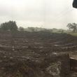 Photo #5: Dirt work, Land Clearing, Pond Digging, Excavation, Topsoil, Gravel