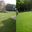 Photo #10: *Mowing, Trimming, Edging - Affordable Lawn Care and Landscaping