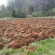 Photo #1: Garden plow, rototill, disc, tractor work, post holes,