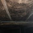 Photo #3: vacuum attics cleanup crawlspace / insulation pros