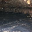 Photo #4: vacuum attics cleanup crawlspace / insulation pros