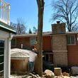 Photo #6: Tree Removal and Trimming. Stump Grinding